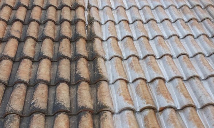 Artisan Spade Nettoyage et démoussage de toiture Roussillon